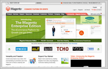 Ecommerce Web Design